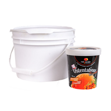 Load image into Gallery viewer, This is a picture of a 500 mL tub and a 4 L tub of nvigorate 'Ostentatious Orange" Sea buckthorn Gelato