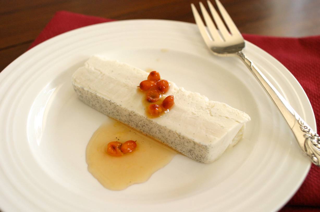 Ricotta Semifreddo with Seabuckthorn – nvigorate